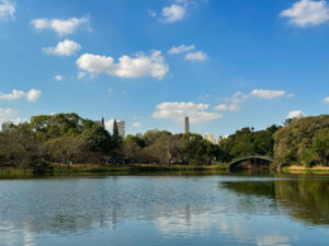 Parque do Ibirapuera